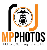 logo-6